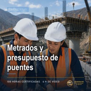28948 metrados y presupuesto de puentes