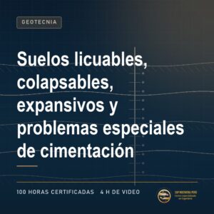 29031 suelos licuables colapsables expansivos y problemas especial 1