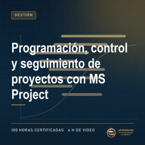29050 programacion control y seguimiento de proyectos con ms proje
